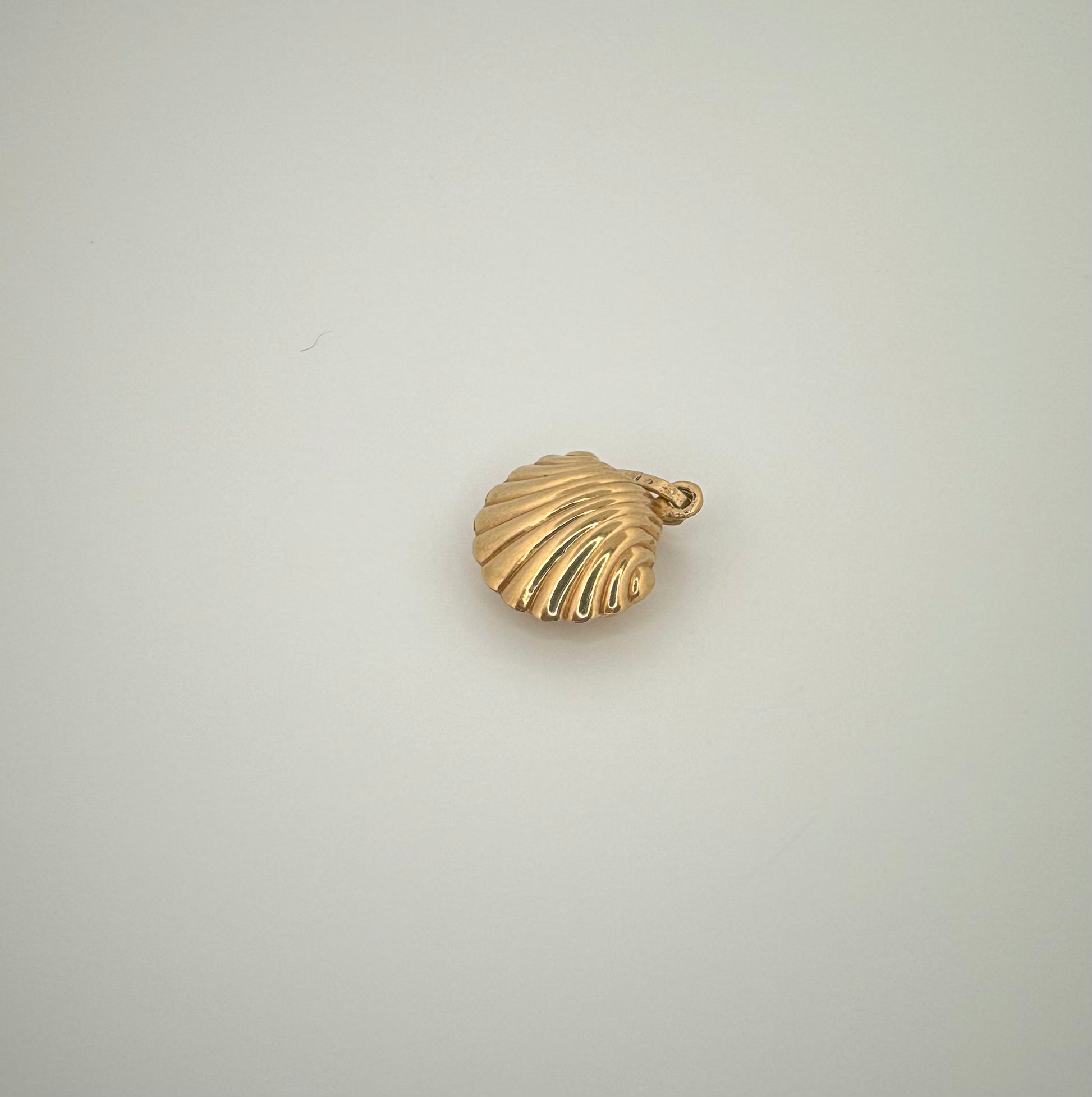 The Siren Shell