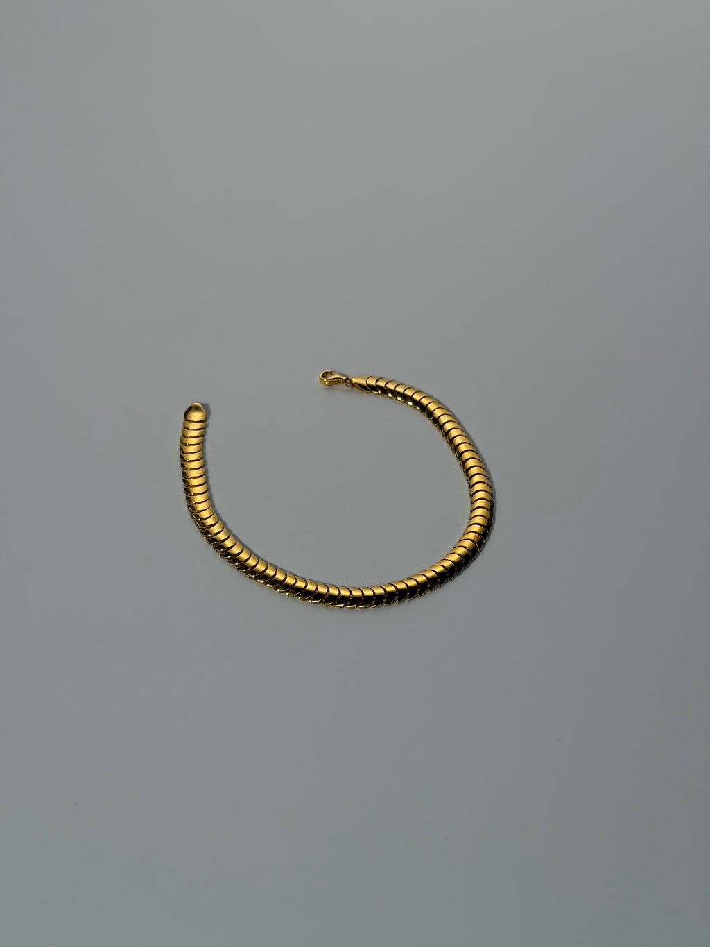 The Aegis Bracelet