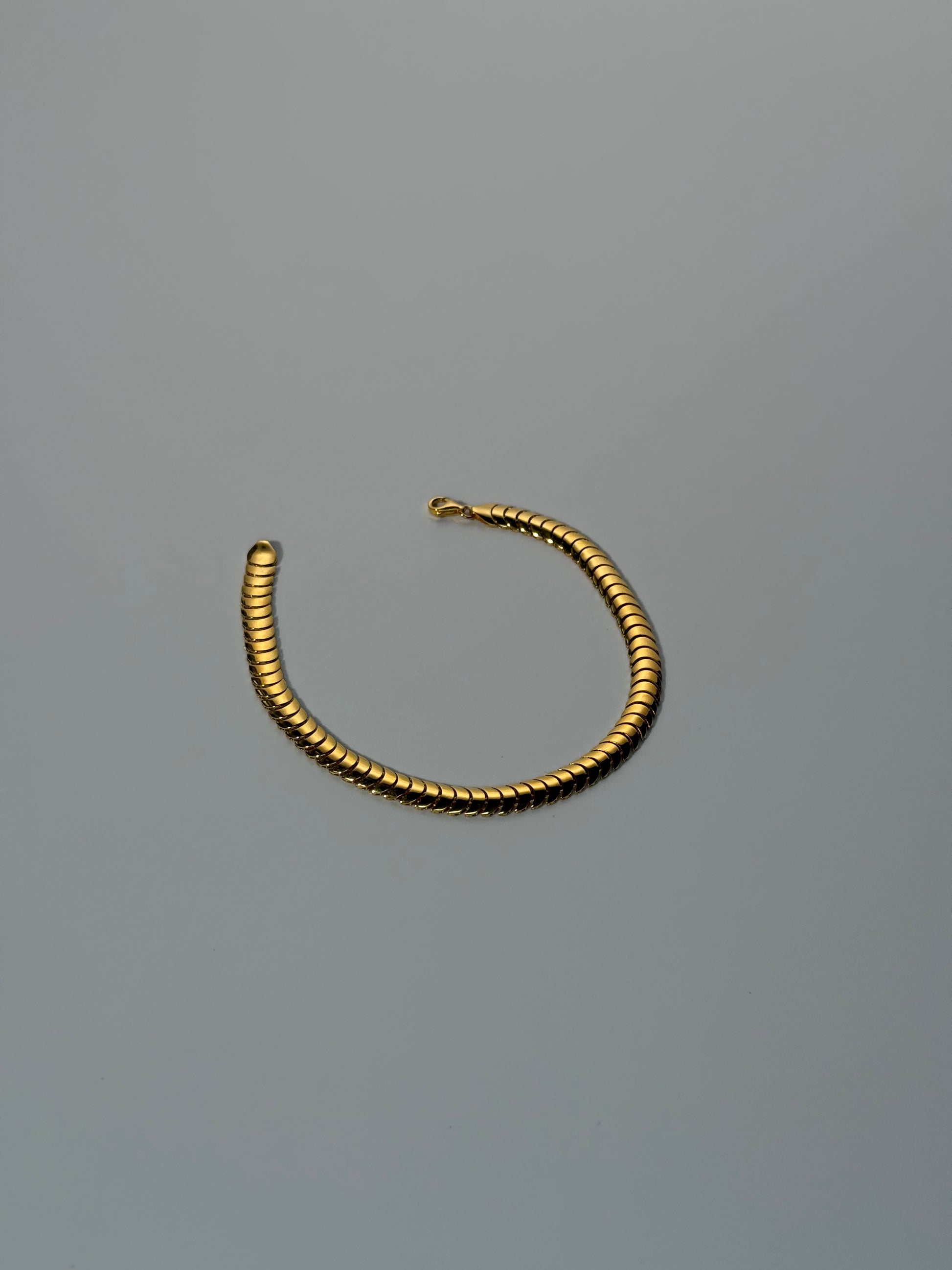 The Aegis Bracelet