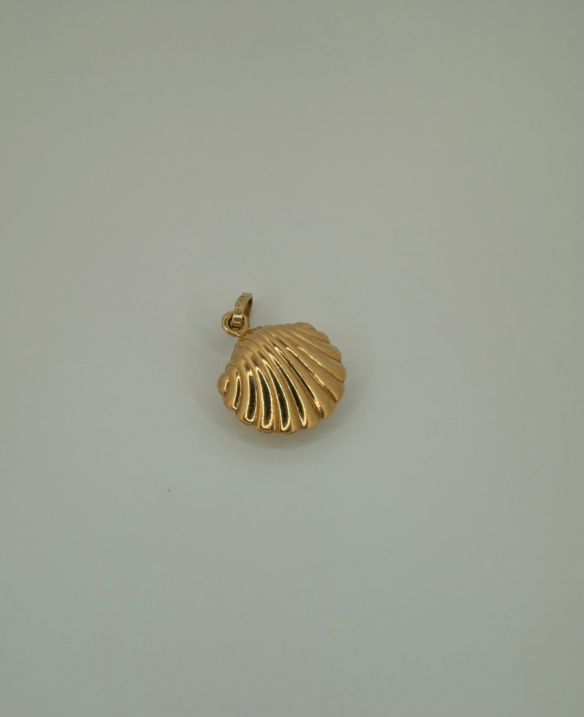 The Siren Shell