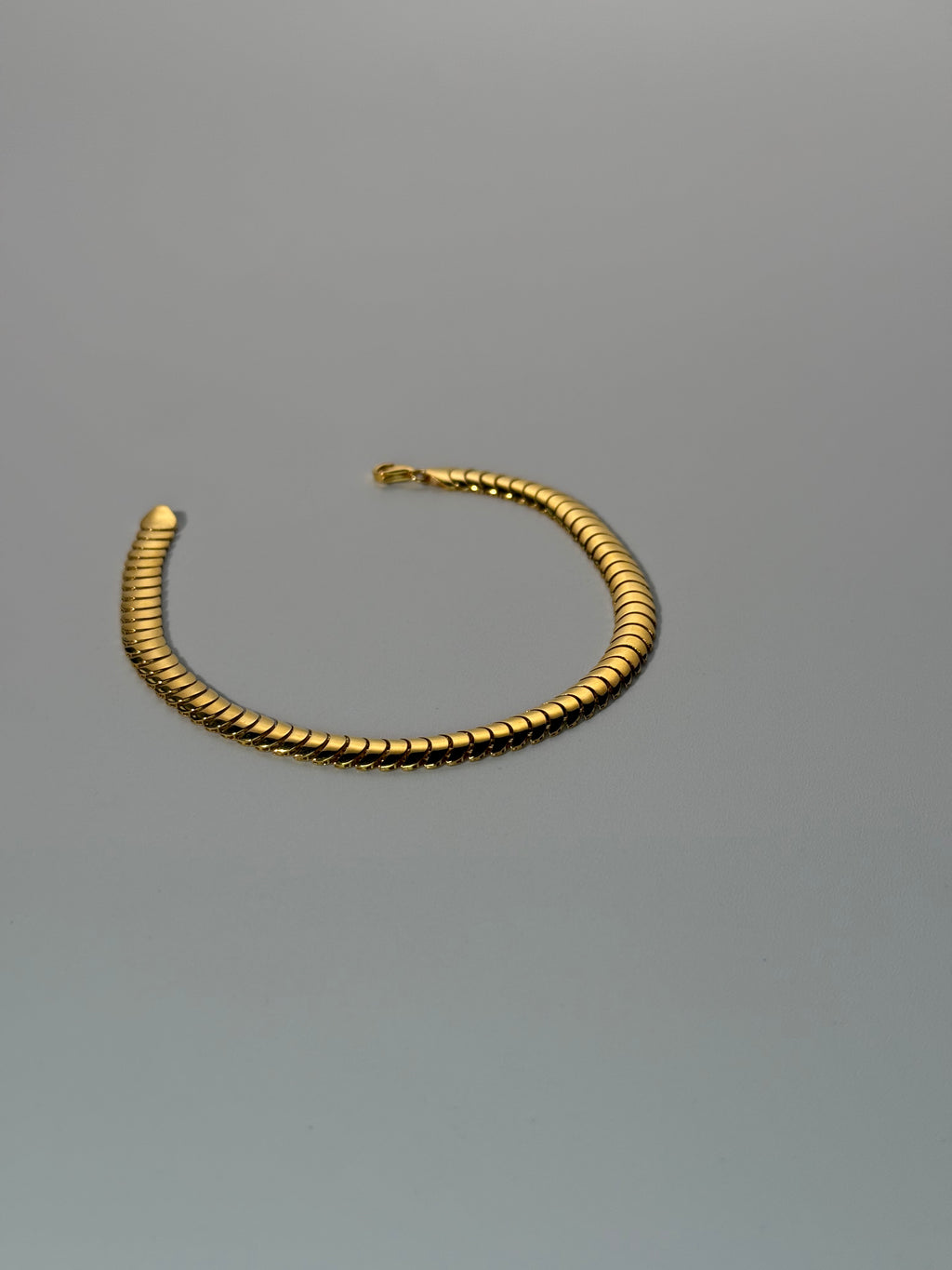 The Aegis Bracelet