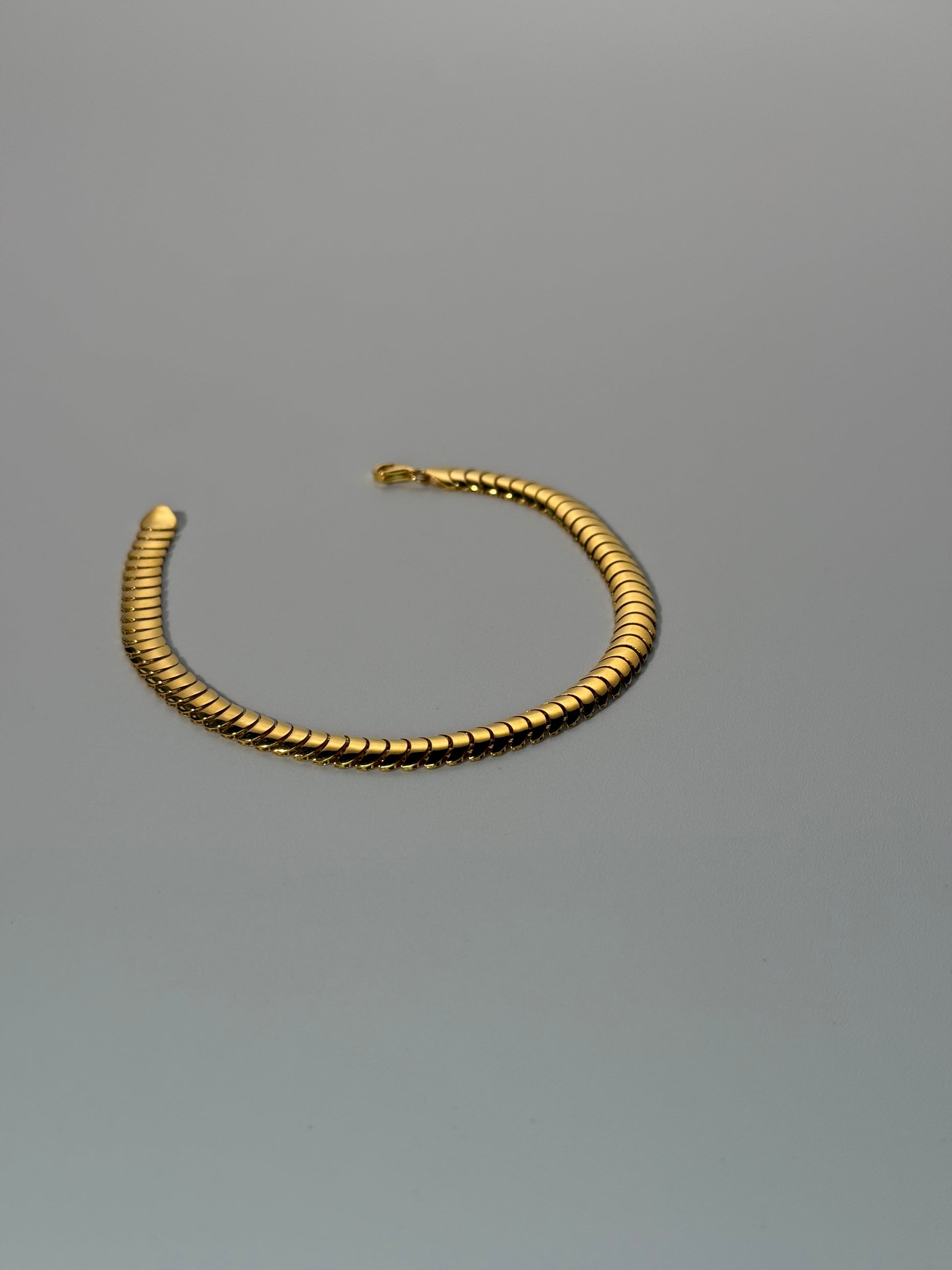The Aegis Bracelet