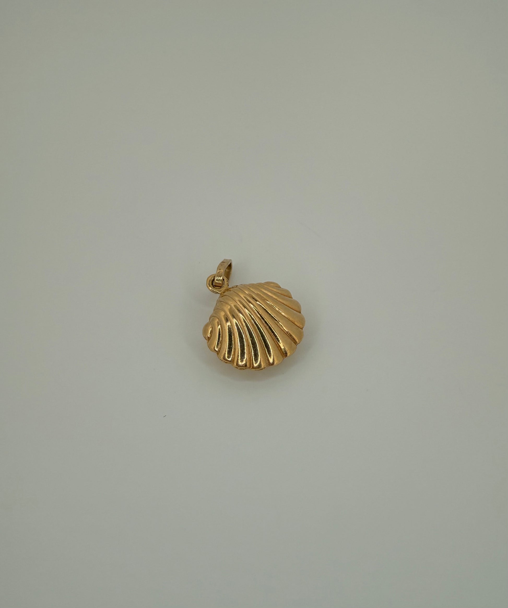The Siren Shell