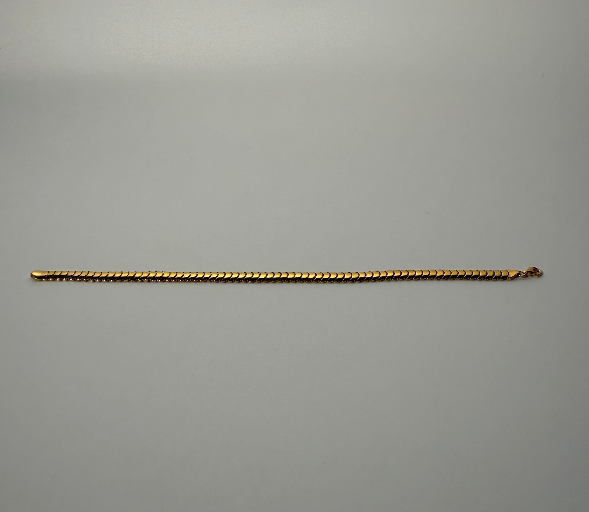 The Aegis Bracelet