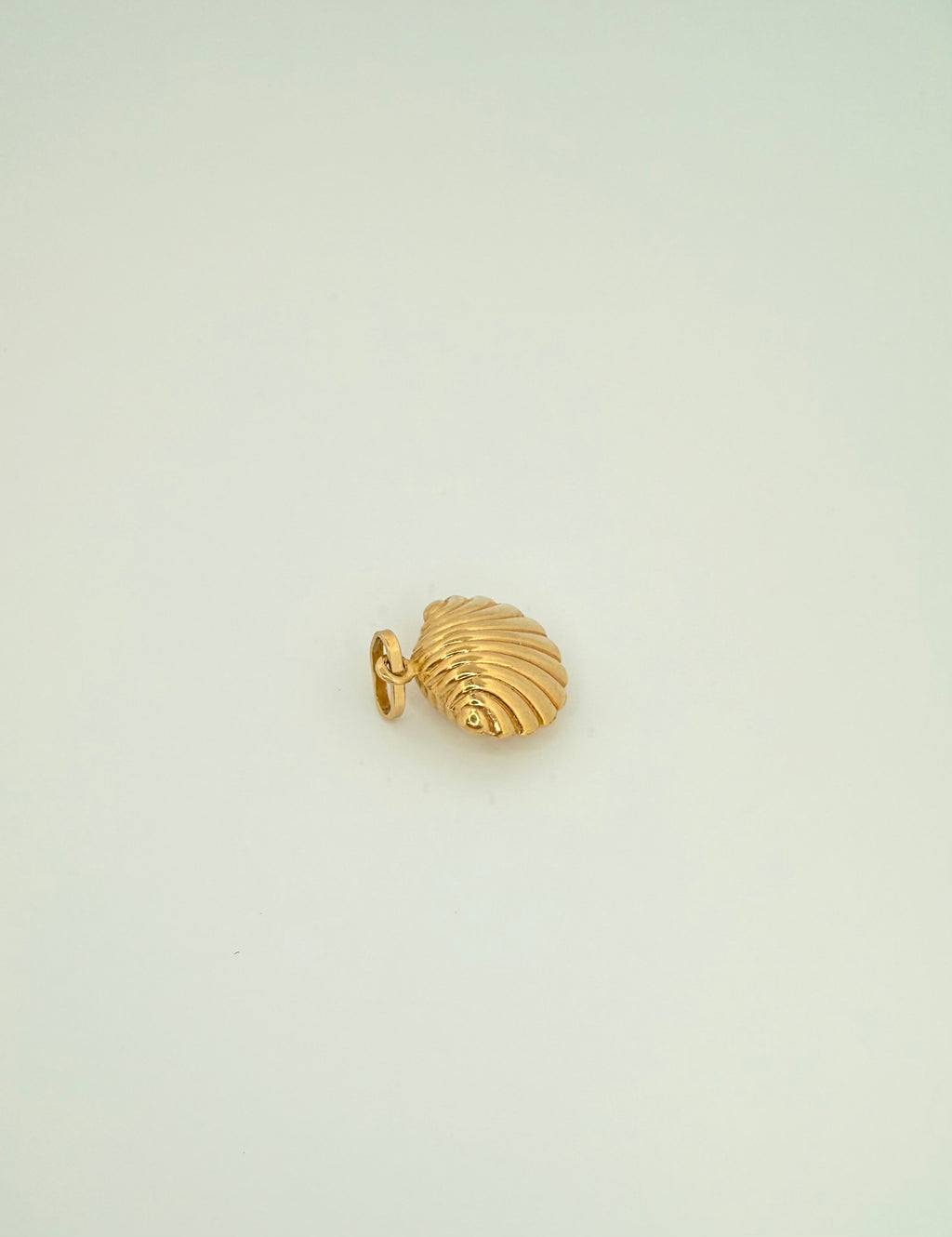 The Siren Shell