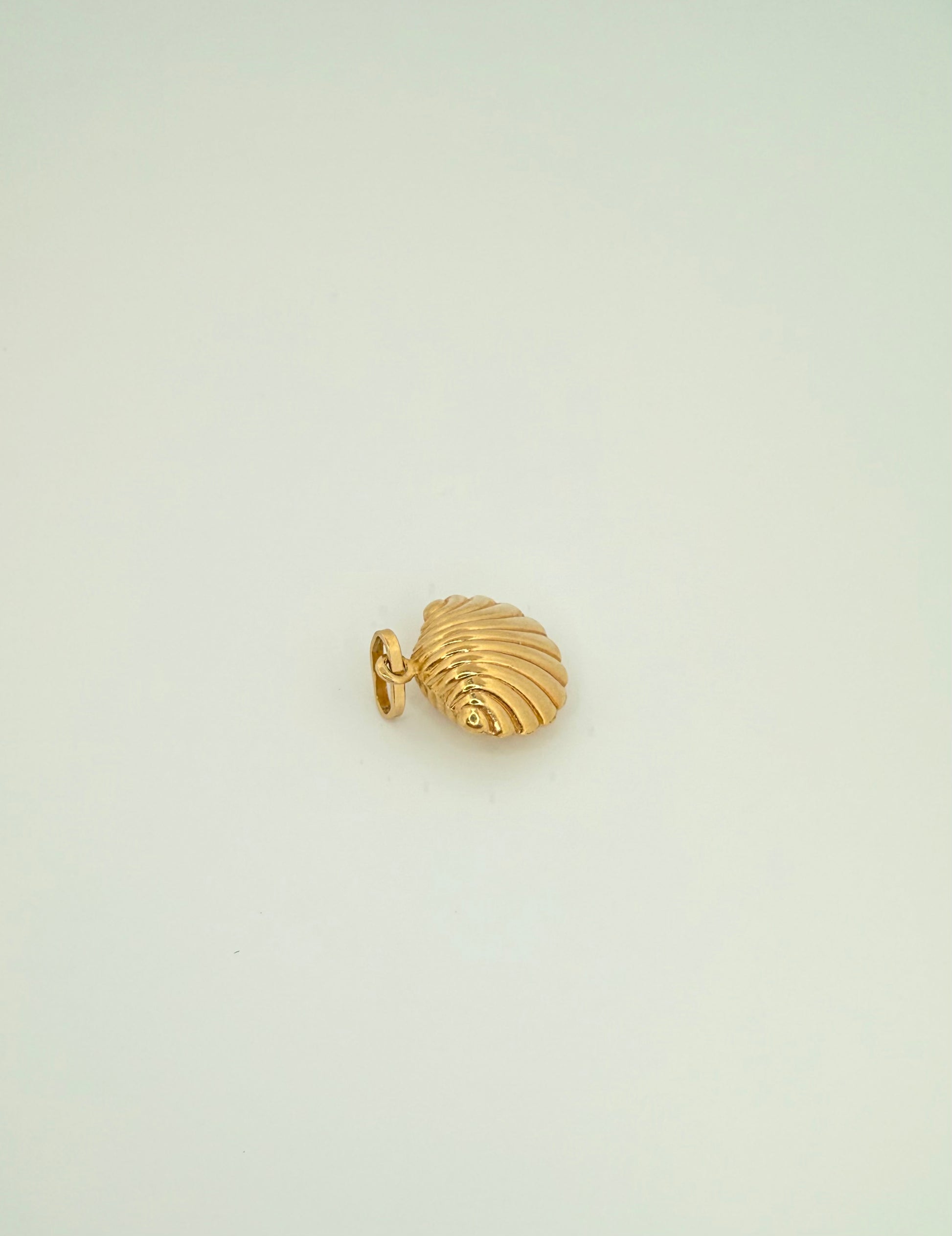 The Siren Shell