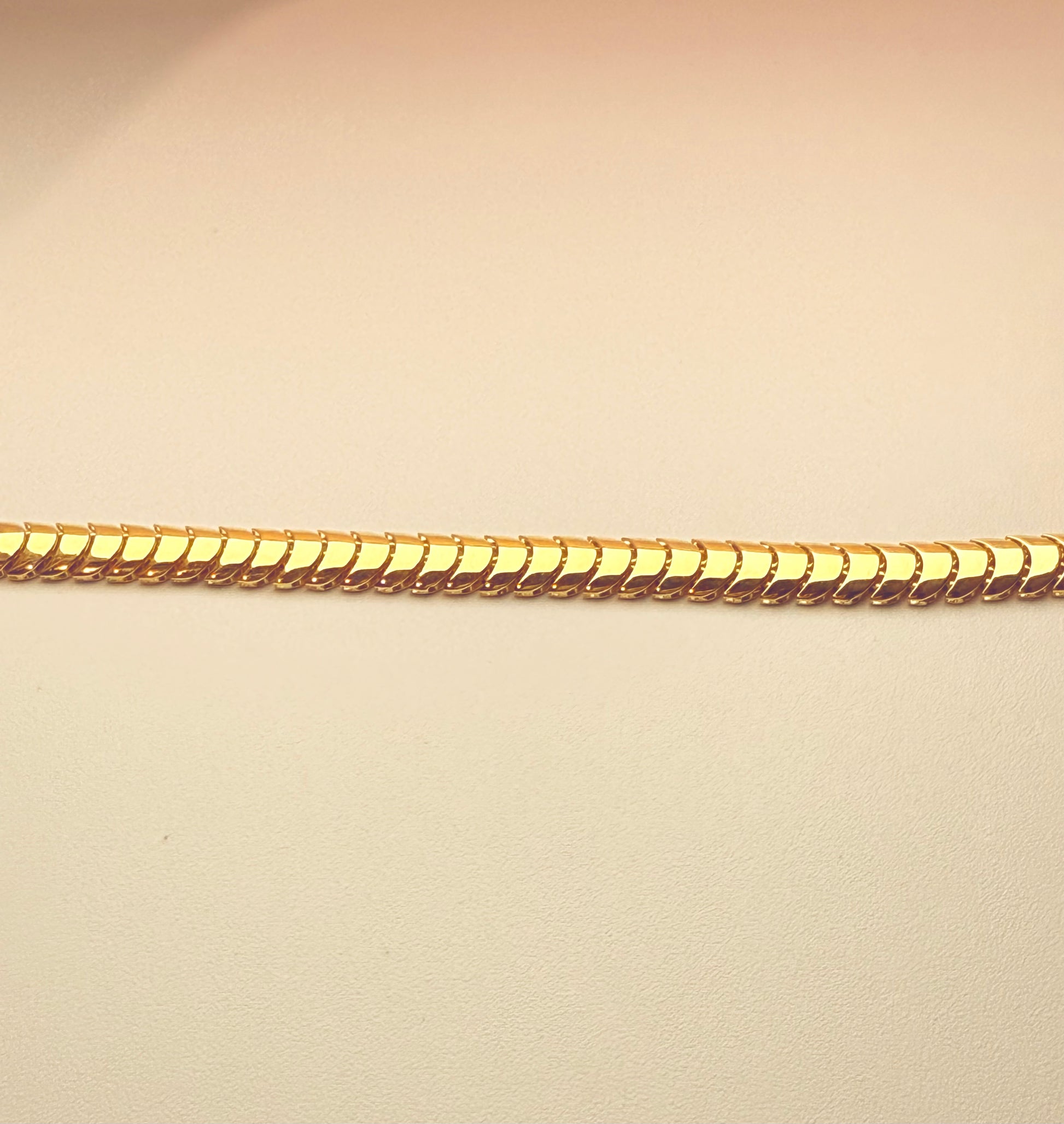 The Aegis Bracelet