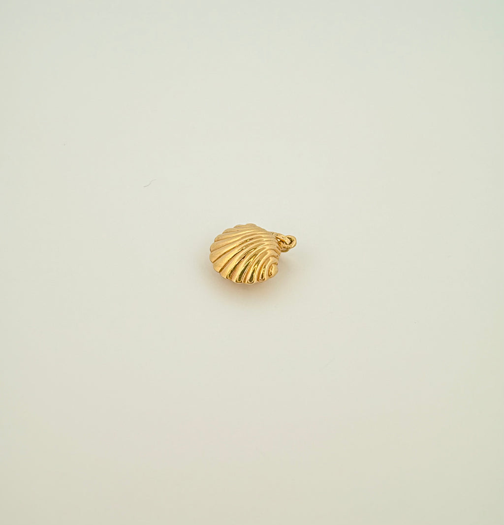 The Siren Shell