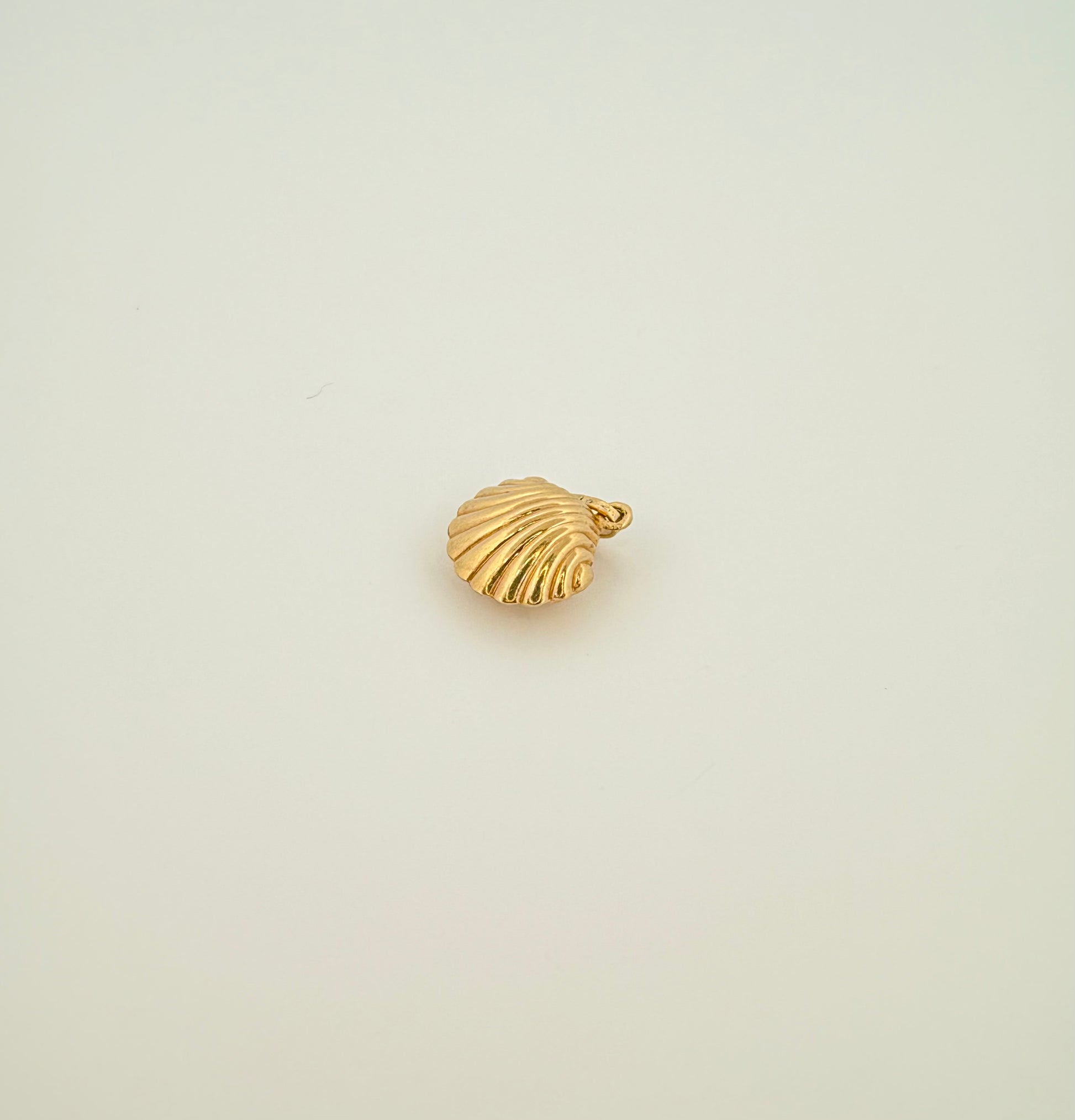 The Siren Shell