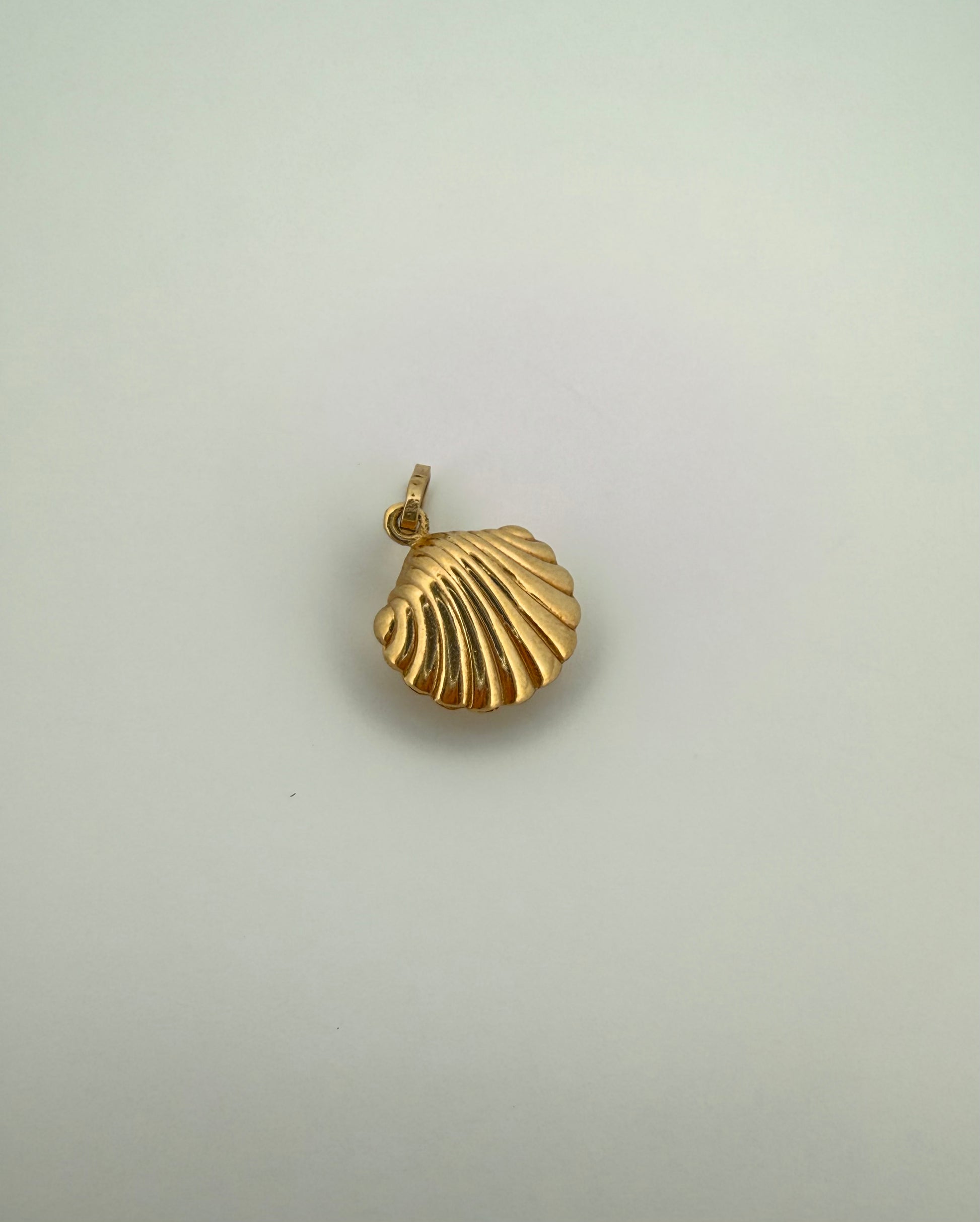 The Siren Shell