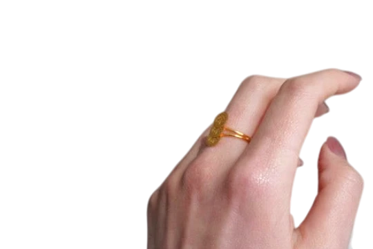 The Aurelia Coin Ring