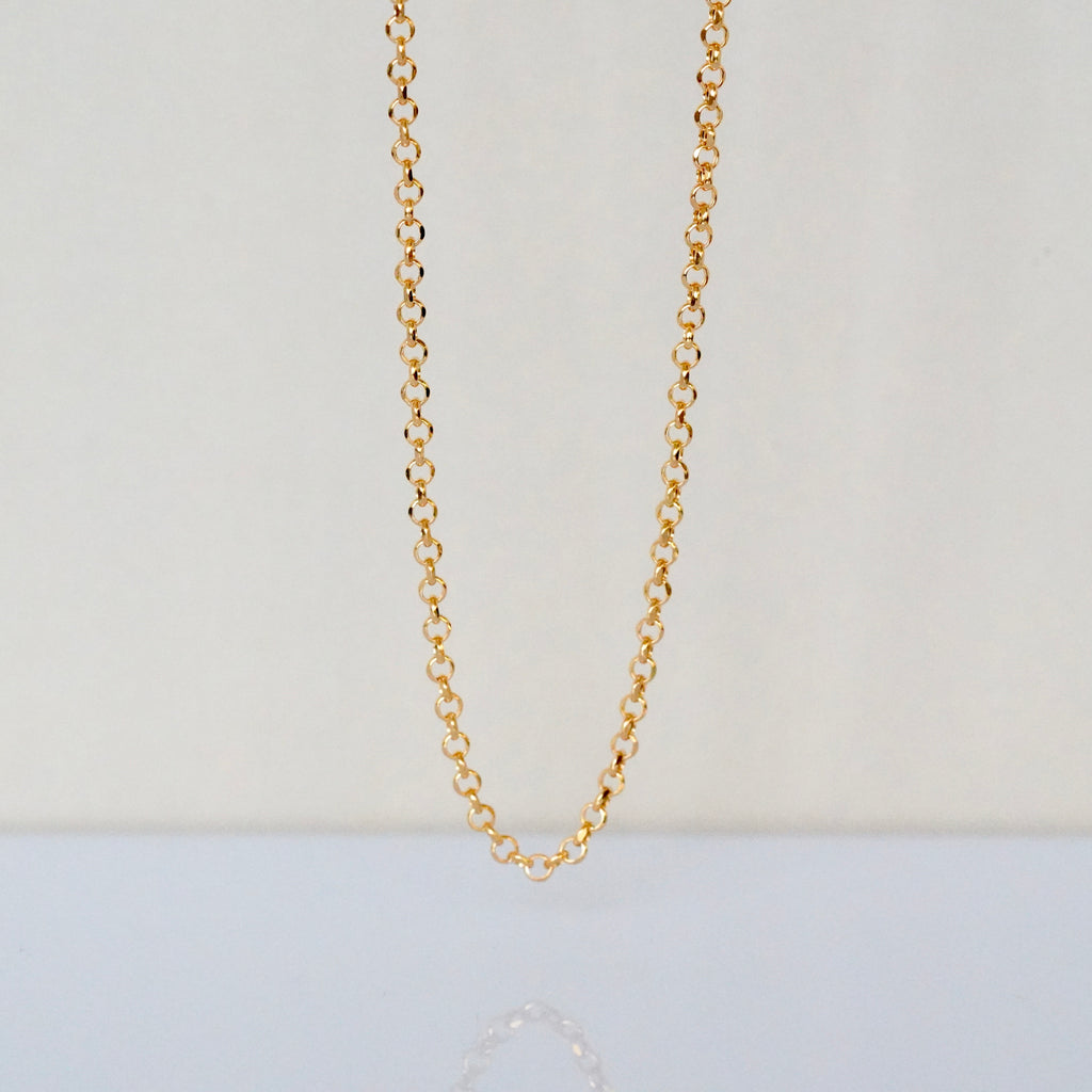 The Rolo Line Necklace