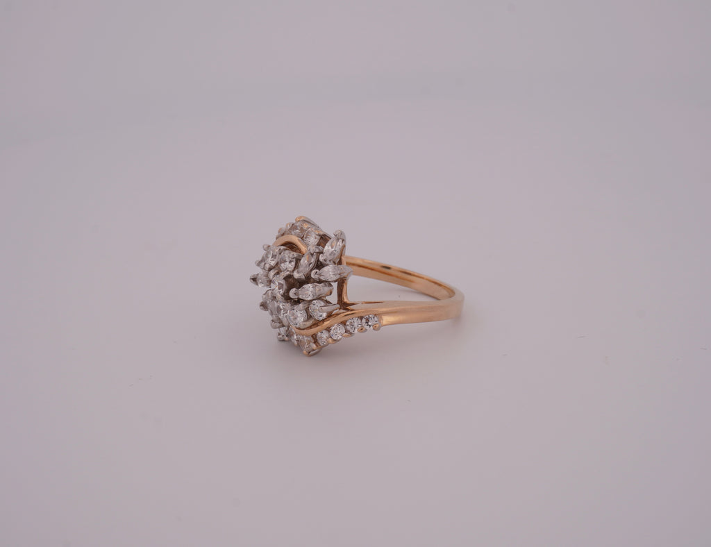 The Aurelia Cluster Ring