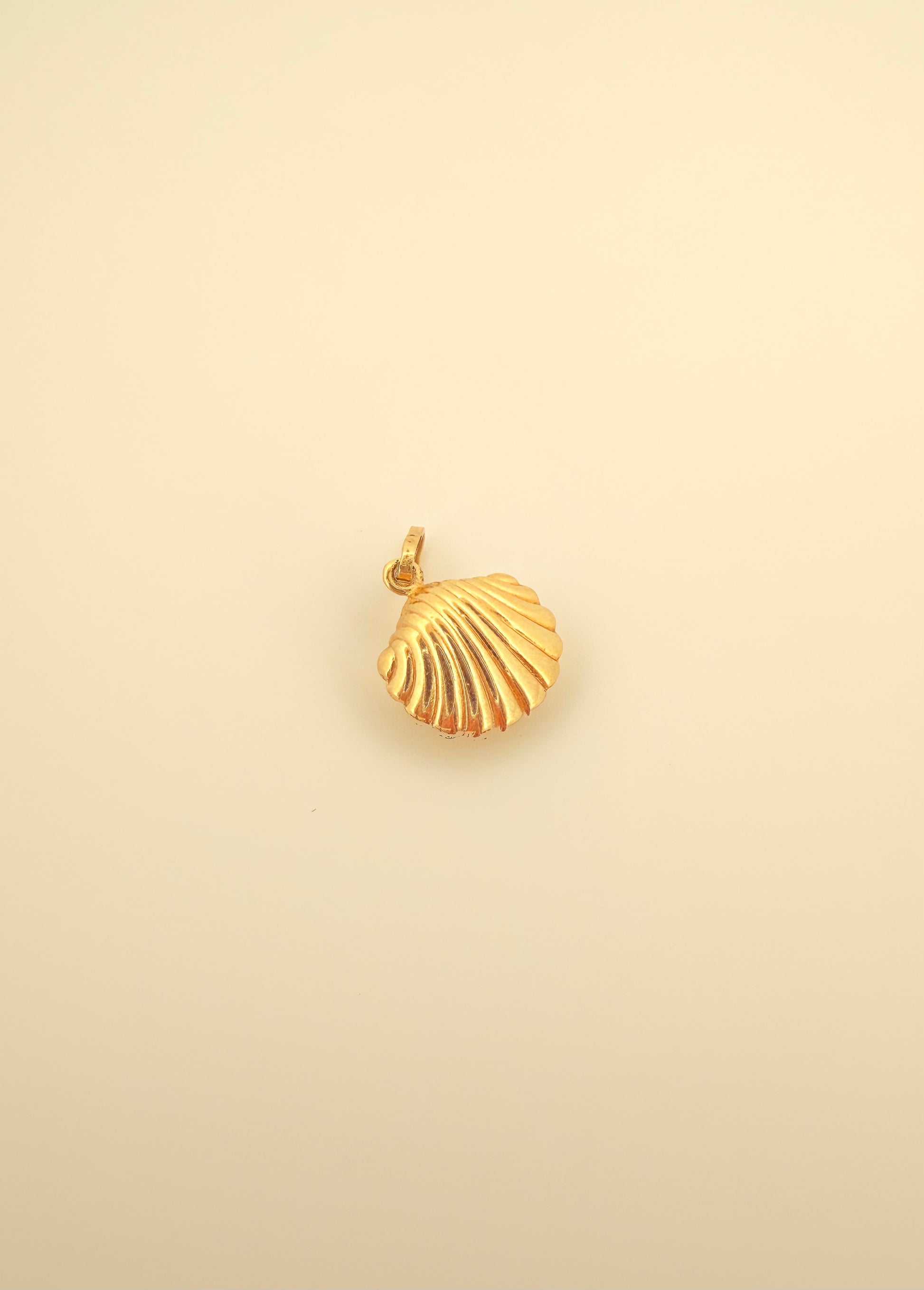 The Siren Shell