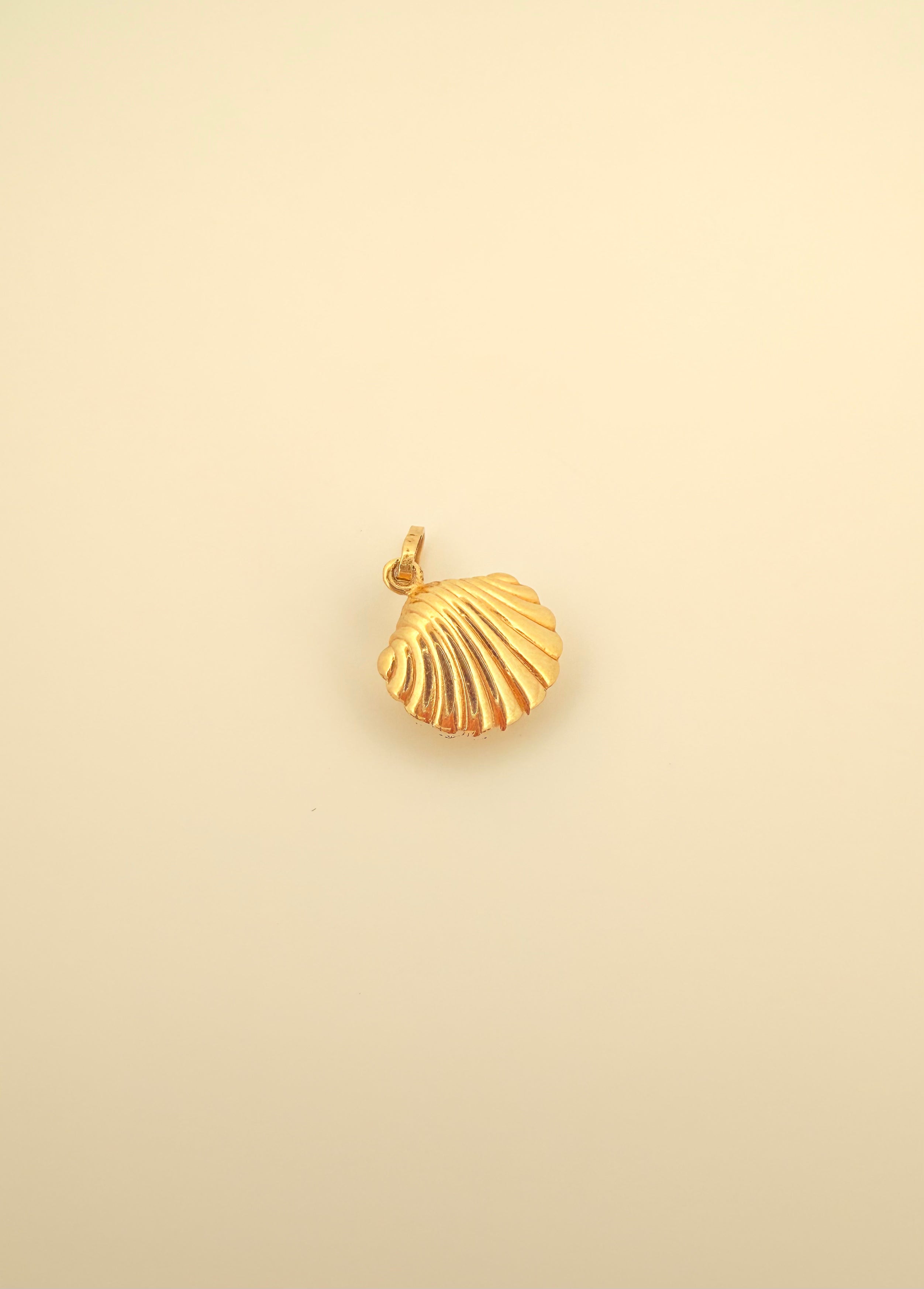The Siren Shell