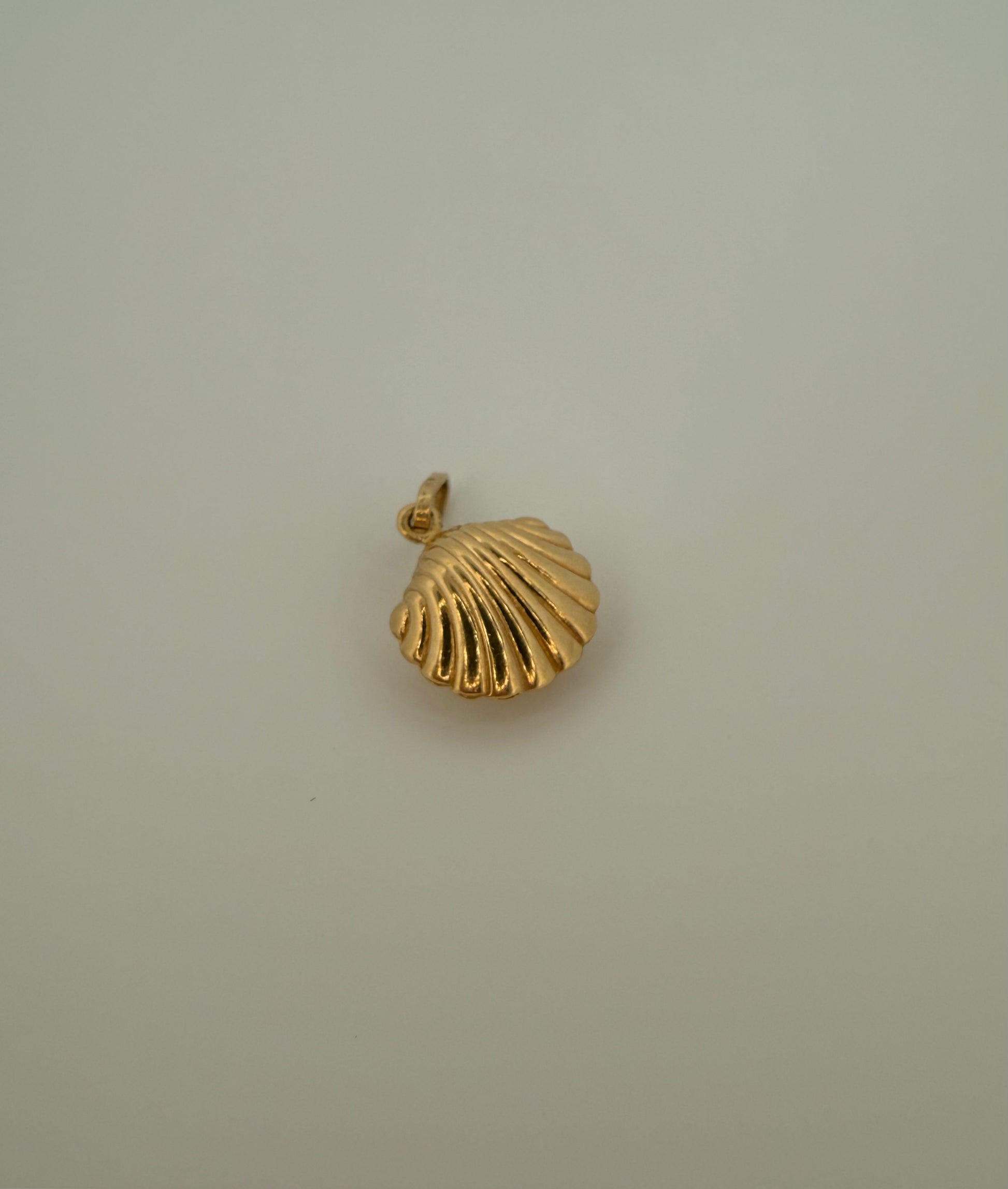 The Siren Shell