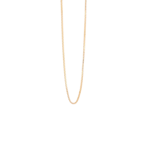 The Luma Box Chain