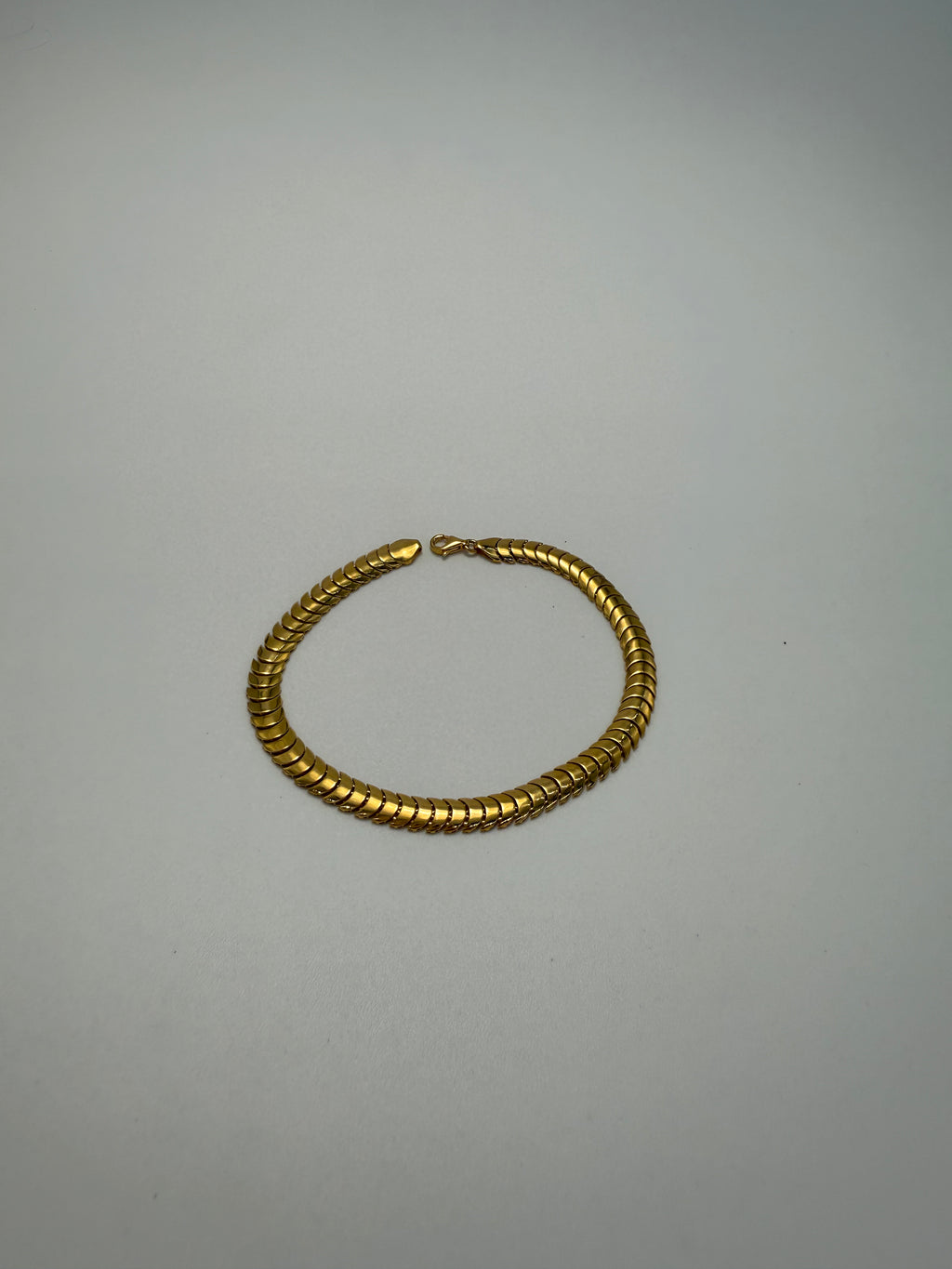 The Aegis Bracelet