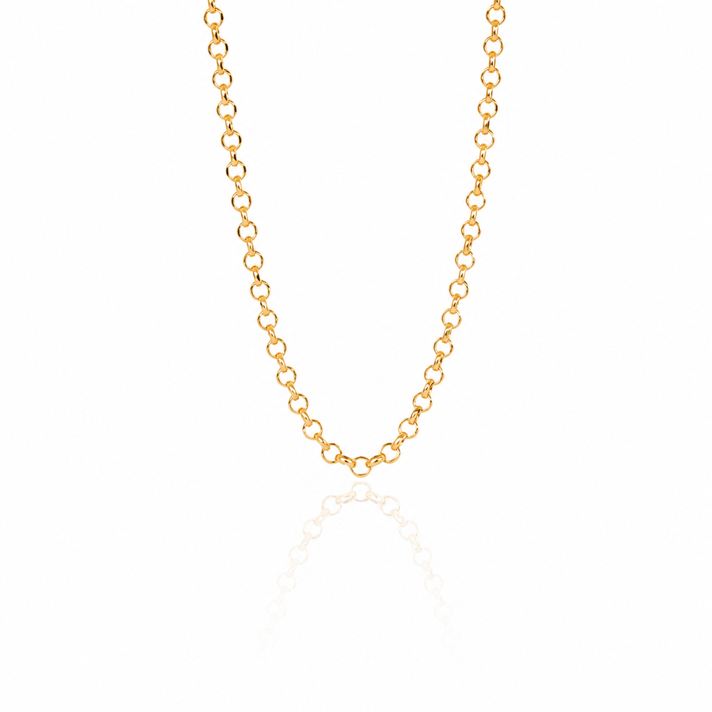 The Rolo Line Necklace