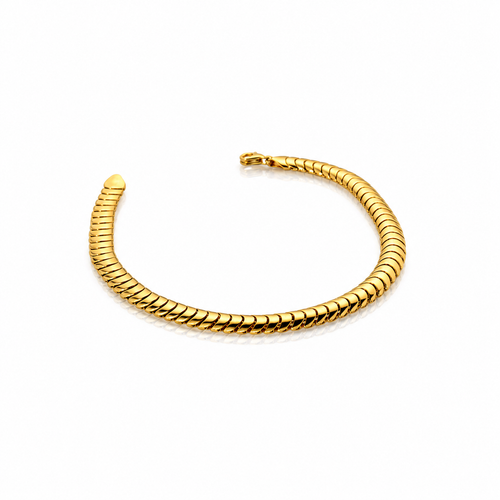 The Aegis Bracelet