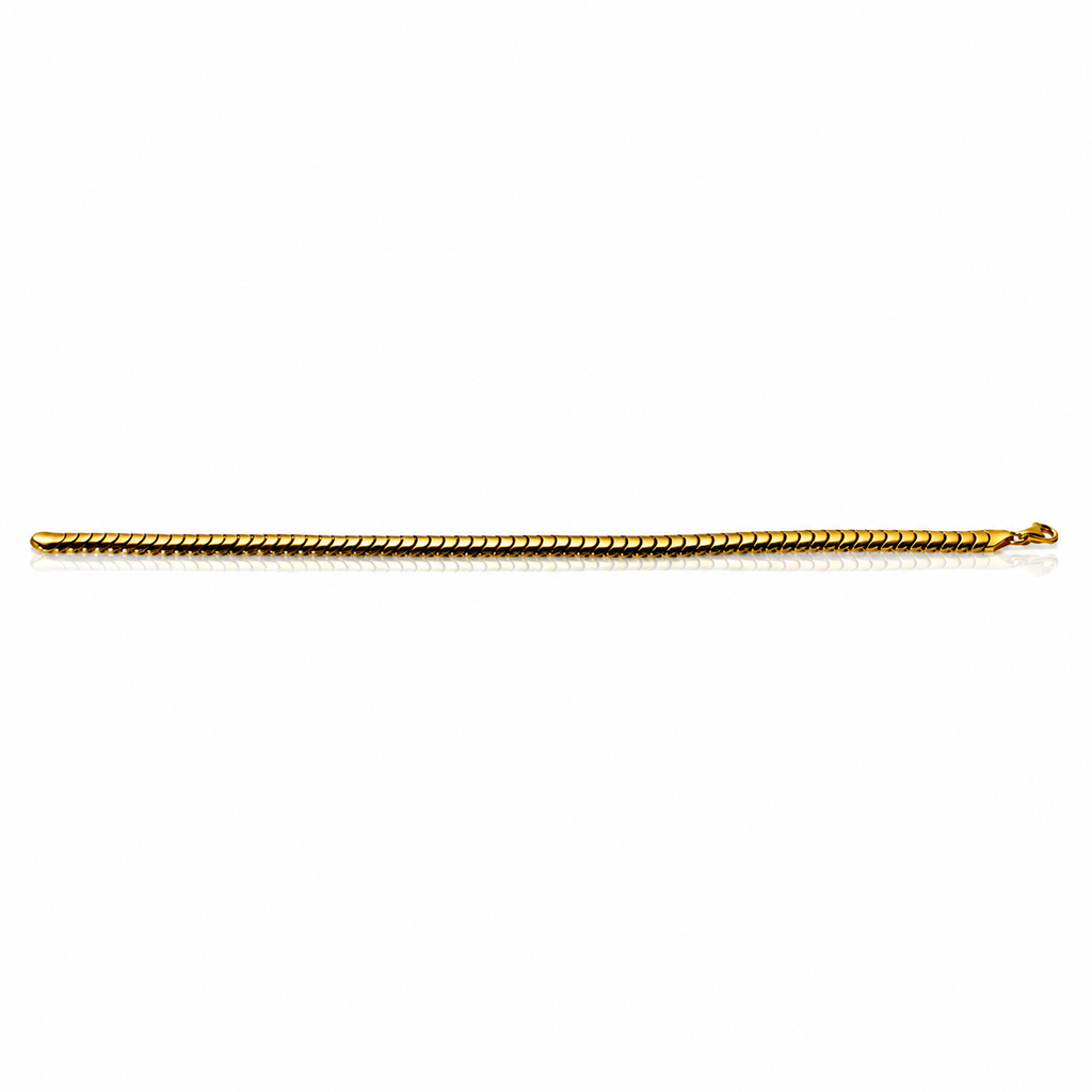 The Aegis Bracelet