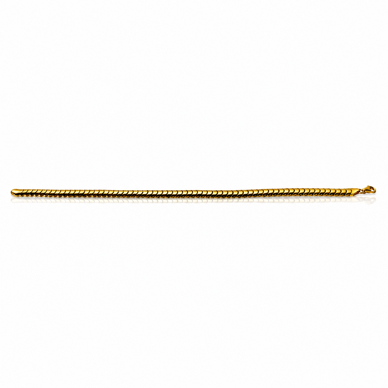The Aegis Bracelet