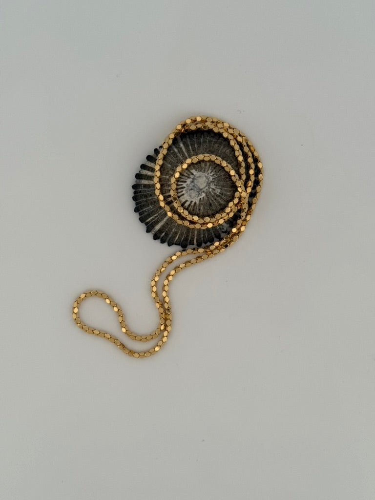 The Meridian Hex Chain