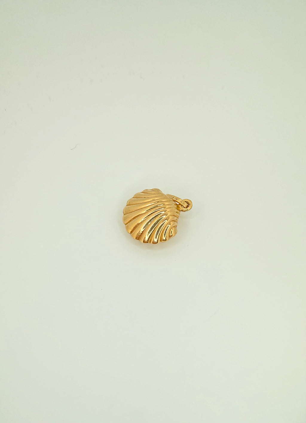 The Siren Shell