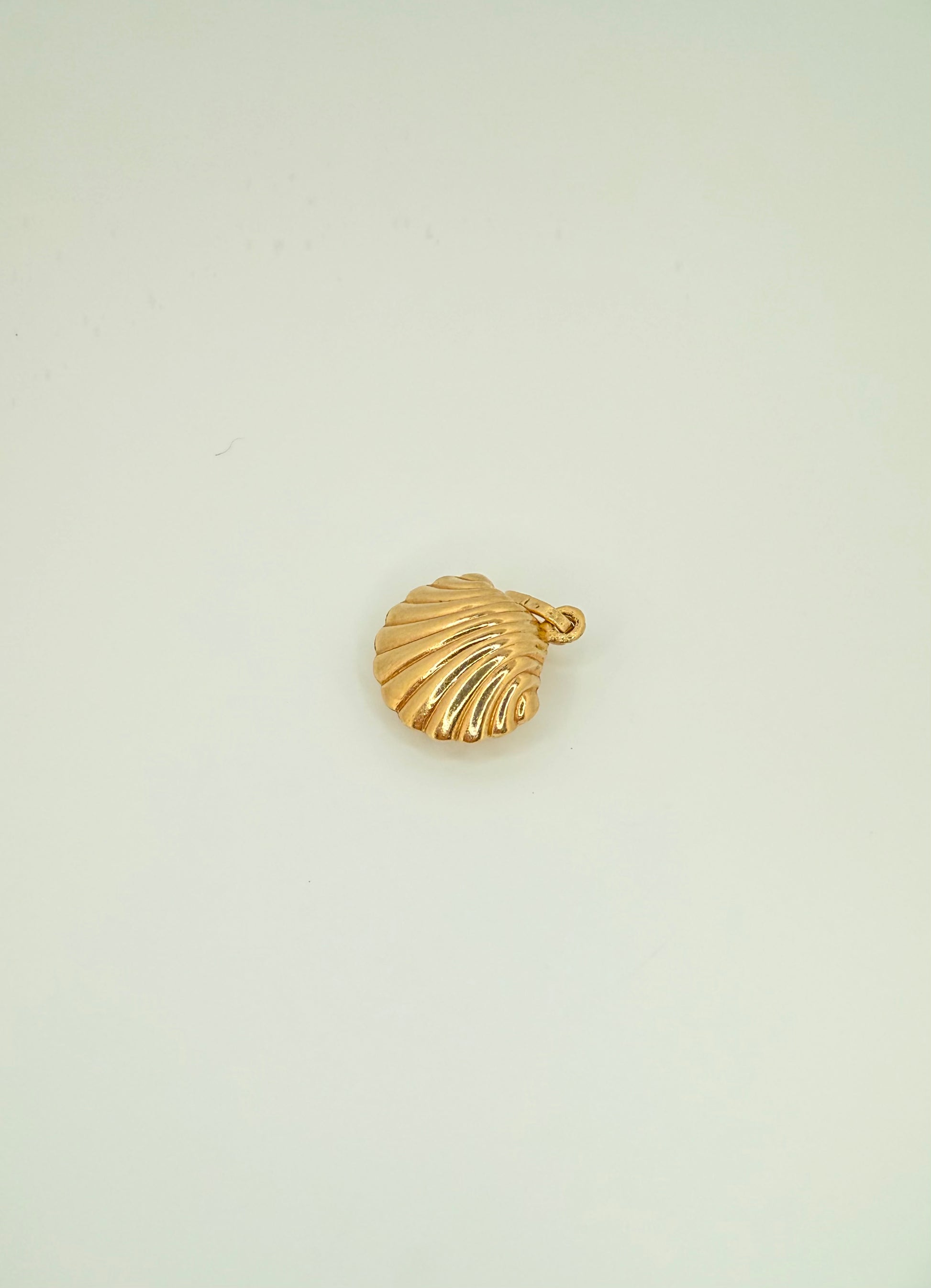 The Siren Shell