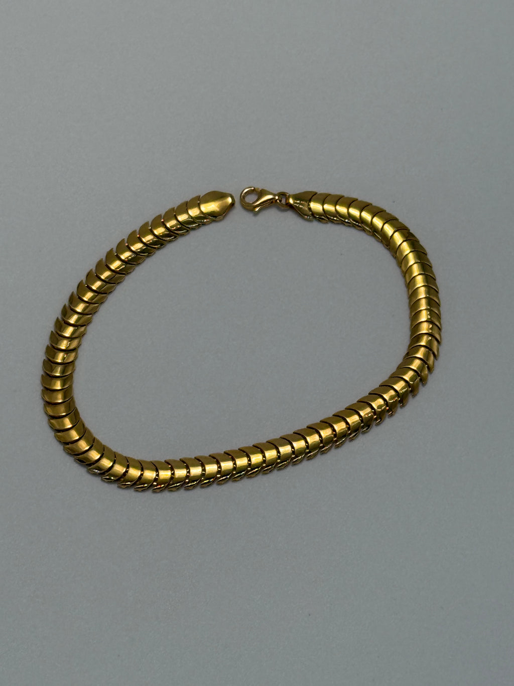 The Aegis Bracelet