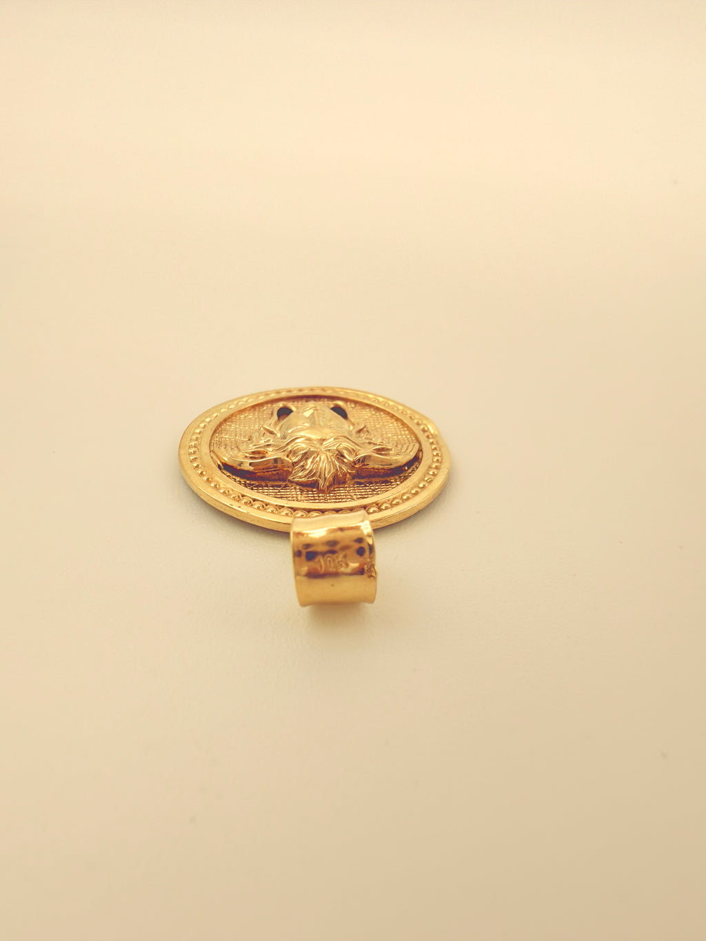 The Medusa Coin
